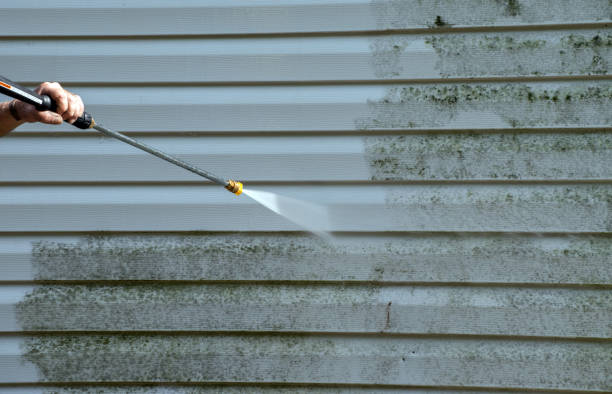 Best Roof Washing  in Parker, FL